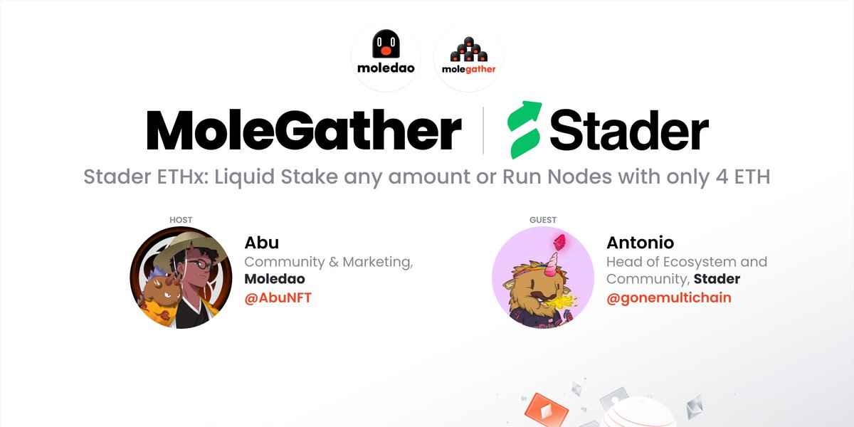 Stader x Moledao