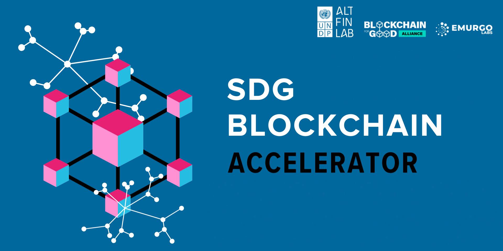 Application Form - SDG Blockchain Accelerator Cohort 2